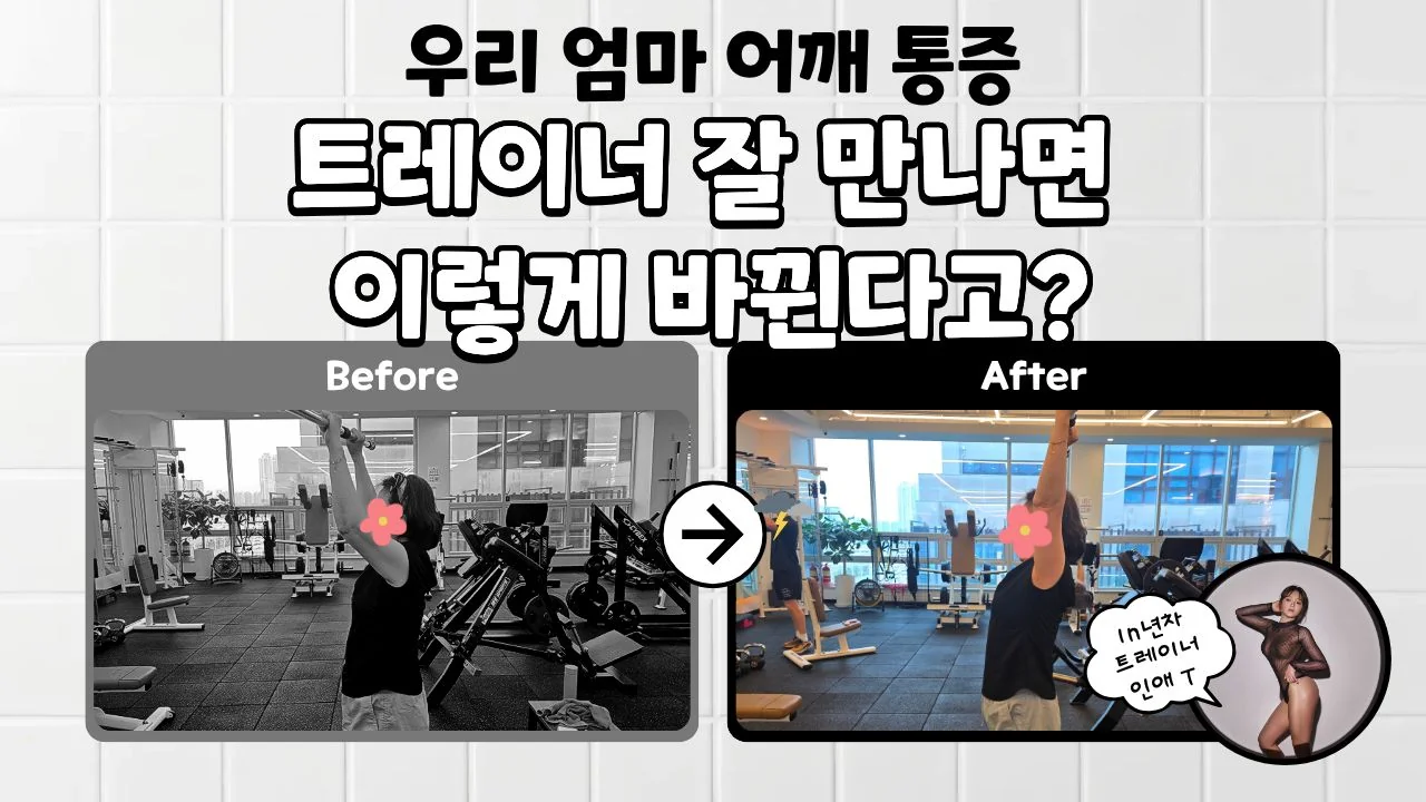 회원 수업 전후 기록